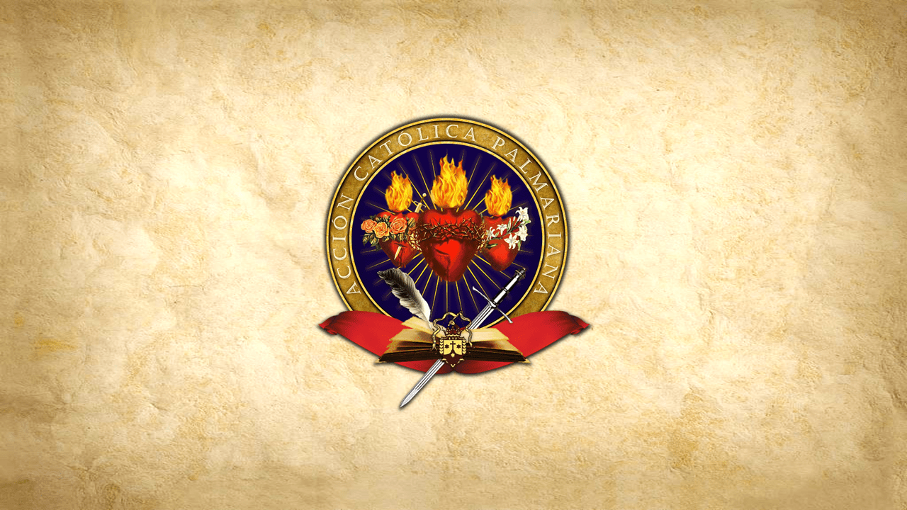 47TH REPORT ON THE WEBSITE OF THE HOLY PALMARIAN CHURCH