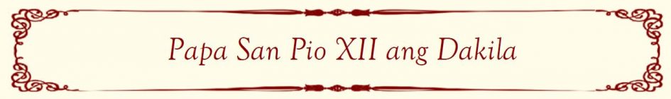 Pope Saint Pius XII Banner FL Pope Saint Pius XII Banner FL